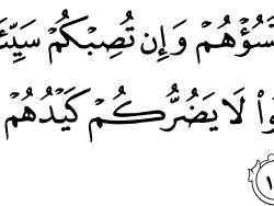 آية تختصر الواقع بكلمات