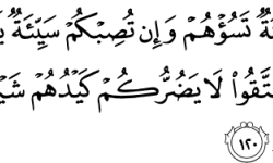 آية تختصر الواقع بكلمات
