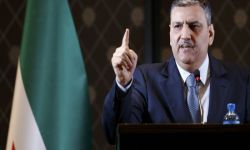 رياض حجاب: المفاوضات يجب أن تقوم على أسس متوازنة وشاملة