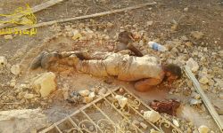 بينهم ضباط وقيادي شيعي..8 قتلى للنظام والميلشيات الإيرانية في درعا