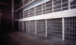 معظمهم في سجون النظام: توثيق 476 شخصاً قضوا تعذيباً خلال 2016 