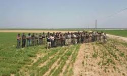 برعاية الحكومة السورية المؤقتة.. تشكيل مجلس مدني لبلدة الراعي شمال حلب